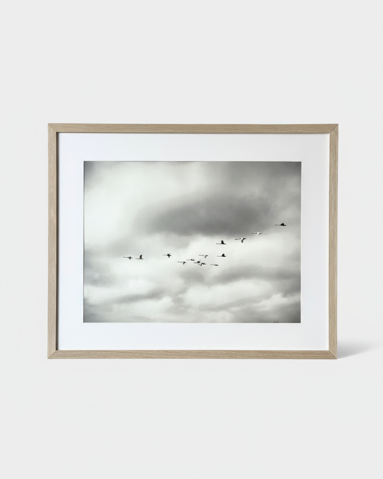 Home Coming Poster 30x40 cm