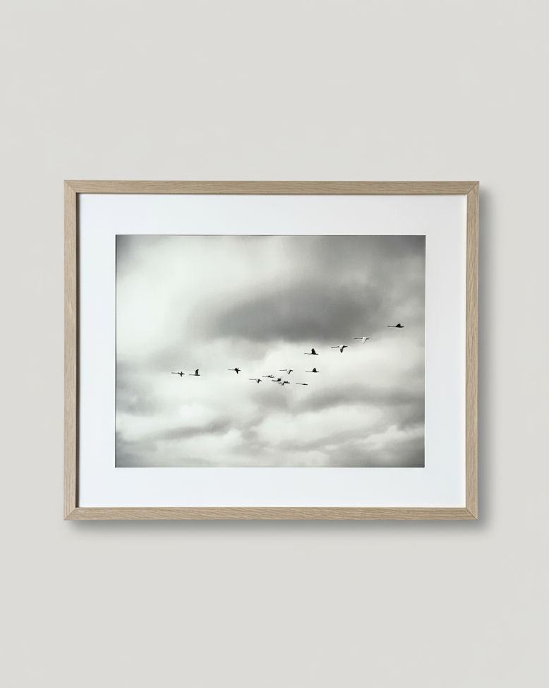 Home Coming Poster + Frame 40x50 cm