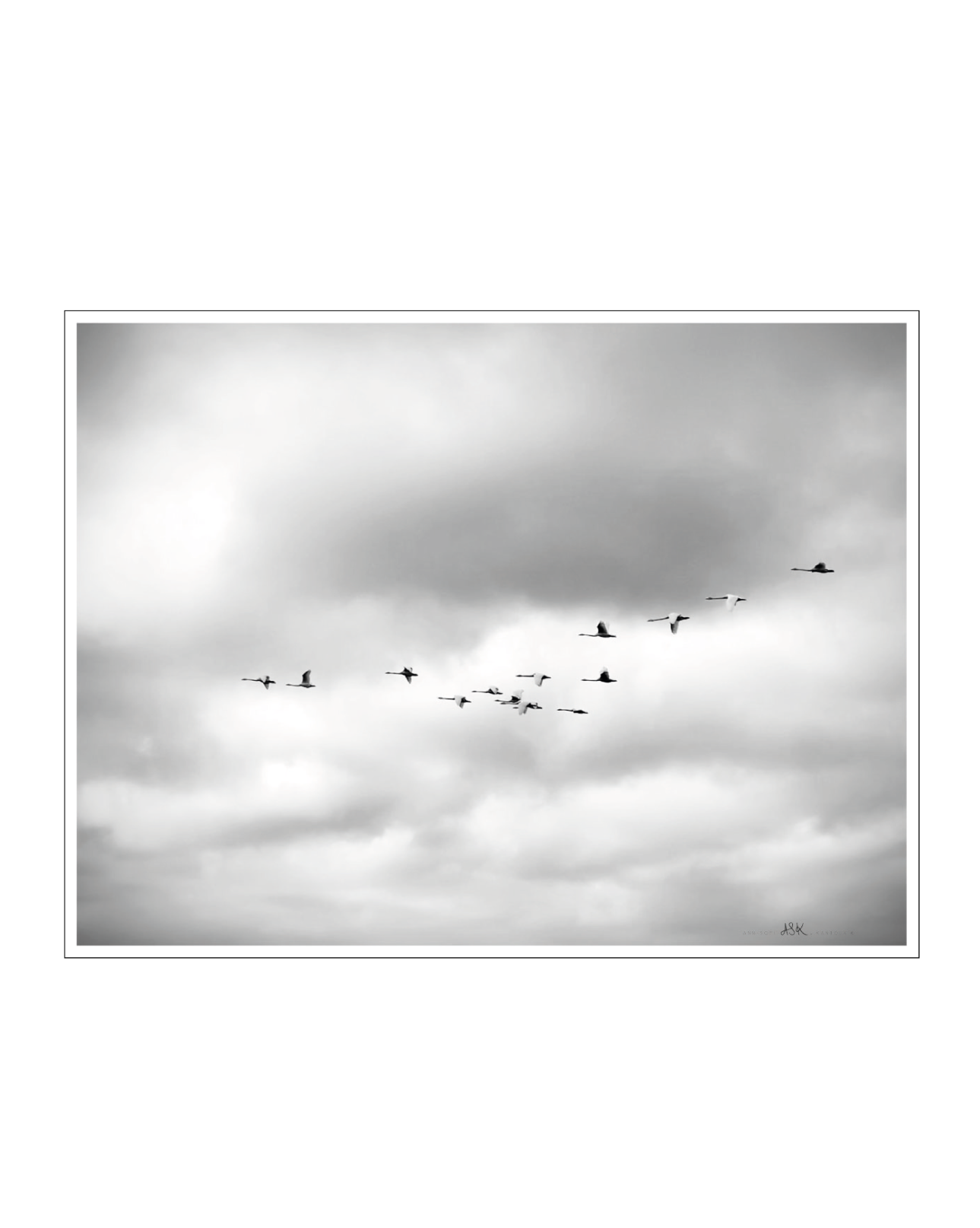 Home Coming Poster 30x40 cm